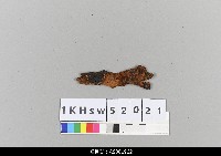 藏品(柬埔寨小皮影-木頭(染牛皮使用))的圖片